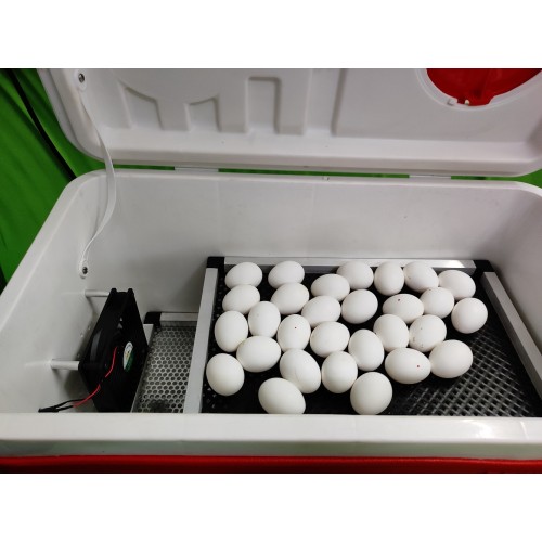 Hatching Egg Incubator Machine And Incubator Controller Hatchpro